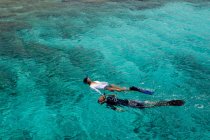 Snorkelers in the Caribbean Sea — Stock Photo