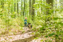 Хлопчик гуляє з собакою в лісі — стокове фото