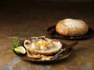 Scallops baked in shell with vermouth, chervil garnish and lime — Stock Photo
