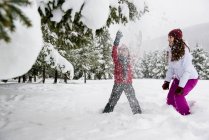 Children playing in snow — Stock Photo