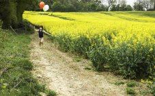 Boy running along yellow flower field track pulling red and white balloons — Stock Photo
