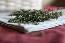 Close up shot of herbs on cloth napkin — Stock Photo
