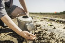 Cropped view of man in muddy field pouring water from watering can — Stock Photo