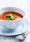 Tomato soup with leek garnish — Stock Photo