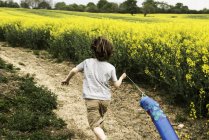Visão traseira do menino correndo ao longo da pista de campo de flores amarelas puxando pipa de peixe — Fotografia de Stock