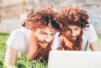 Jovens gêmeos hipster masculinos com cabelos vermelhos e barbas deitadas no laptop de navegação do parque — Fotografia de Stock