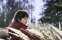 Мальчик играет на высокой траве — стоковое фото