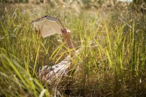 Женщина лежит в длинной траве, читая книгу — стоковое фото