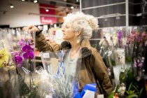 Mulher madura no supermercado, olhando para plantas e flores — Fotografia de Stock