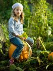 Young girl sitting on a pumpkin — Stock Photo