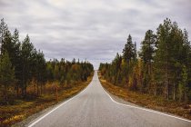 Estrada vazia cênica Keimiotunturi, Lapônia, Finlândia — Fotografia de Stock