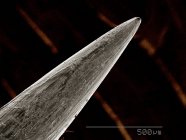Micrografía electrónica de barrido de la aguja de coser - foto de stock