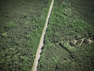 Road in rural landscape — Stock Photo