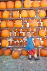 Rear view of female toddler looking at pumpkin harvest — Stock Photo