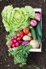 Boîte de légumes frais — Photo de stock