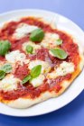 Close up de pizza com ervas e queijo mussarela — Fotografia de Stock