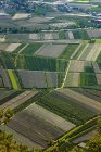 Vista aérea dos campos de cultivo verde à luz do sol — Fotografia de Stock
