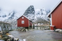 Hölzerne rote Fischerhütten und schneebedeckte Felsen, reine, lofoten, Norwegen — Stockfoto