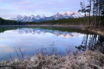 Herbert Lake and Bow Range, Banff National Park, Alberta, Canadá - foto de stock