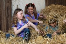 Дети дерутся на сене — стоковое фото