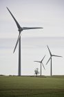 Turbine eoliche nel paesaggio verde — Foto stock