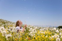 Girl in meadow blowing dandelion seeds — Stock Photo