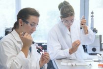 Estudantes de biologia trabalhando com pipetas em laboratório — Fotografia de Stock