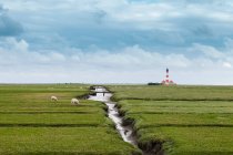 Field with distant lighthouse — Stock Photo