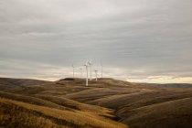 Parc éolien sur paysage vallonné, Condon, Oregon, États-Unis — Photo de stock