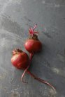 Deux radis frais cueillis sur la surface grise — Photo de stock