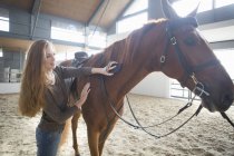 Reiterin pflegt Pferd in Pferdekoppel — Stockfoto