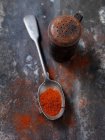 Cuillère de paprika épice — Photo de stock