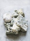 Close up of blue cheese with garlic on table — Stock Photo