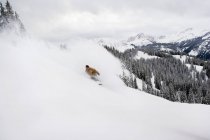 Homem snowboard na neve caped montanha descida — Fotografia de Stock