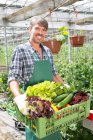 Ritratto di agricoltore biologico con vassoio di prodotti freschi — Foto stock