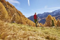 Femme randonnée, vue arrière, Schnalstal, Tyrol du Sud, Italie — Photo de stock