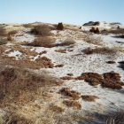 Dunas de areia no pescoço arenoso — Fotografia de Stock