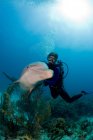 Plongeur sous-marin avec dauphin — Photo de stock