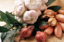 Garlic onions and bay leaves — Stock Photo