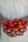 Жінка тримає помідори в руках — стокове фото
