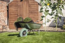 Rotoli di tappeto erboso in carriola sul prato da giardino — Foto stock