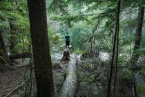 Mann steht im wald, buntzen lake, britisch columbia, kanada — Stockfoto