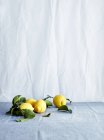 Свежие целые лимоны с листьями на скатерти — стоковое фото