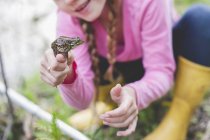Cropped shot of girl holding up frog — Stock Photo