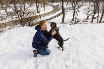 Молодой человек ласкает собаку в снежном Центральном парке, Нью-Йорк, США — стоковое фото