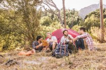 Cuatro amigos varones charlando en el campamento forestal, Deer Park, Ciudad del Cabo, Sudáfrica - foto de stock