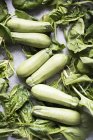 Zucchini und Spinatblätter von oben — Stockfoto