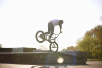 Young man doing stunt on bmx at skatepark, rear view — Stock Photo