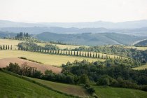 Beautiful landscape near Siena — Stock Photo