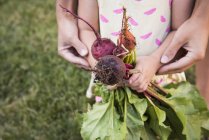 Mutter und kleine Tochter, Gartenarbeit zusammen, Tochter mit frischem Gemüse, Mittelteil — Stockfoto